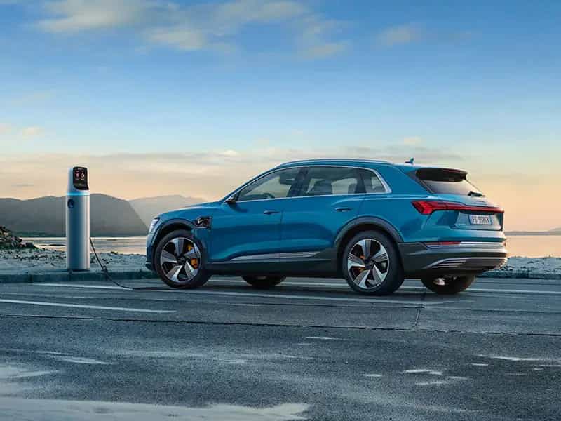 audi elettriche vegan sostenibilità
