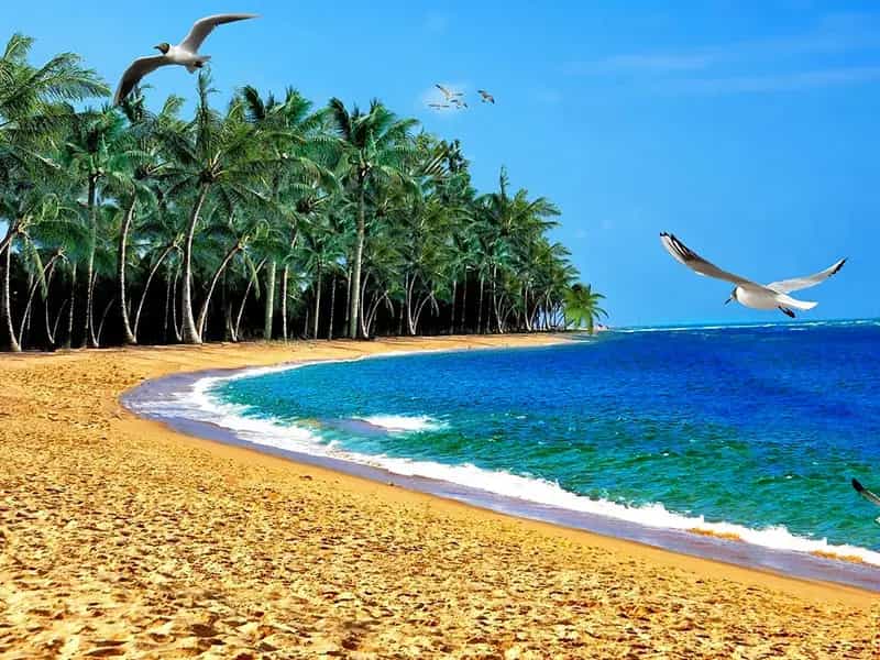 biologico futuro polinesia