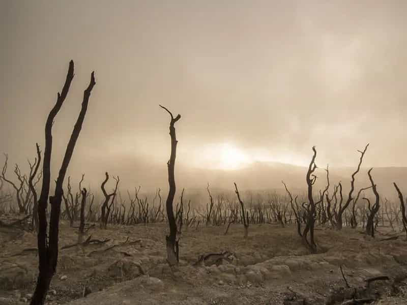 perche mondo finira 2050