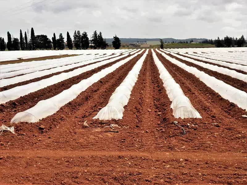 plastica agricoltura biologica