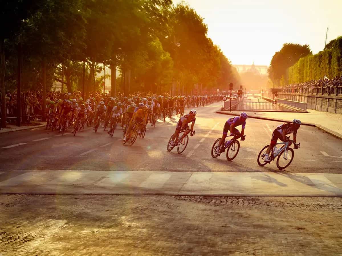 pneumatico vegetale bicicletta tarassaco