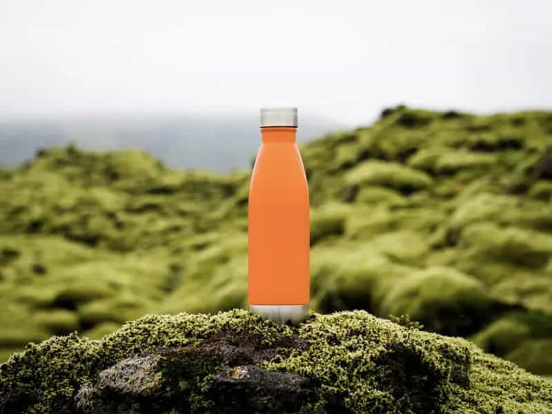 bibite CO2