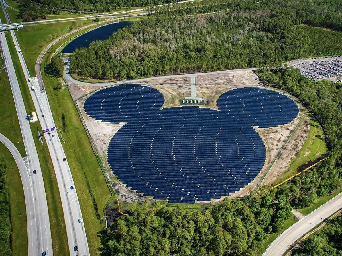 disney energia green