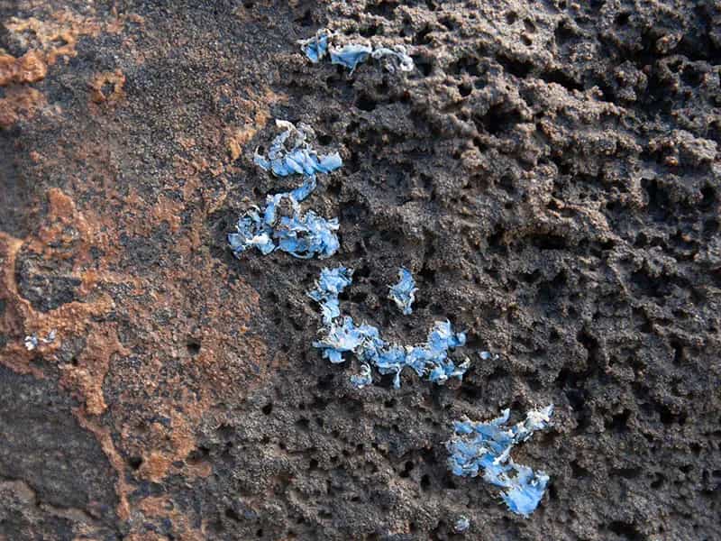 plasticrust plastiche rocce