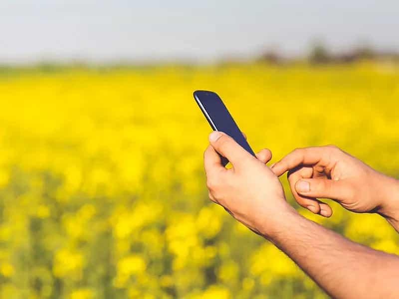 agricoltura biologica promuoverla instagram