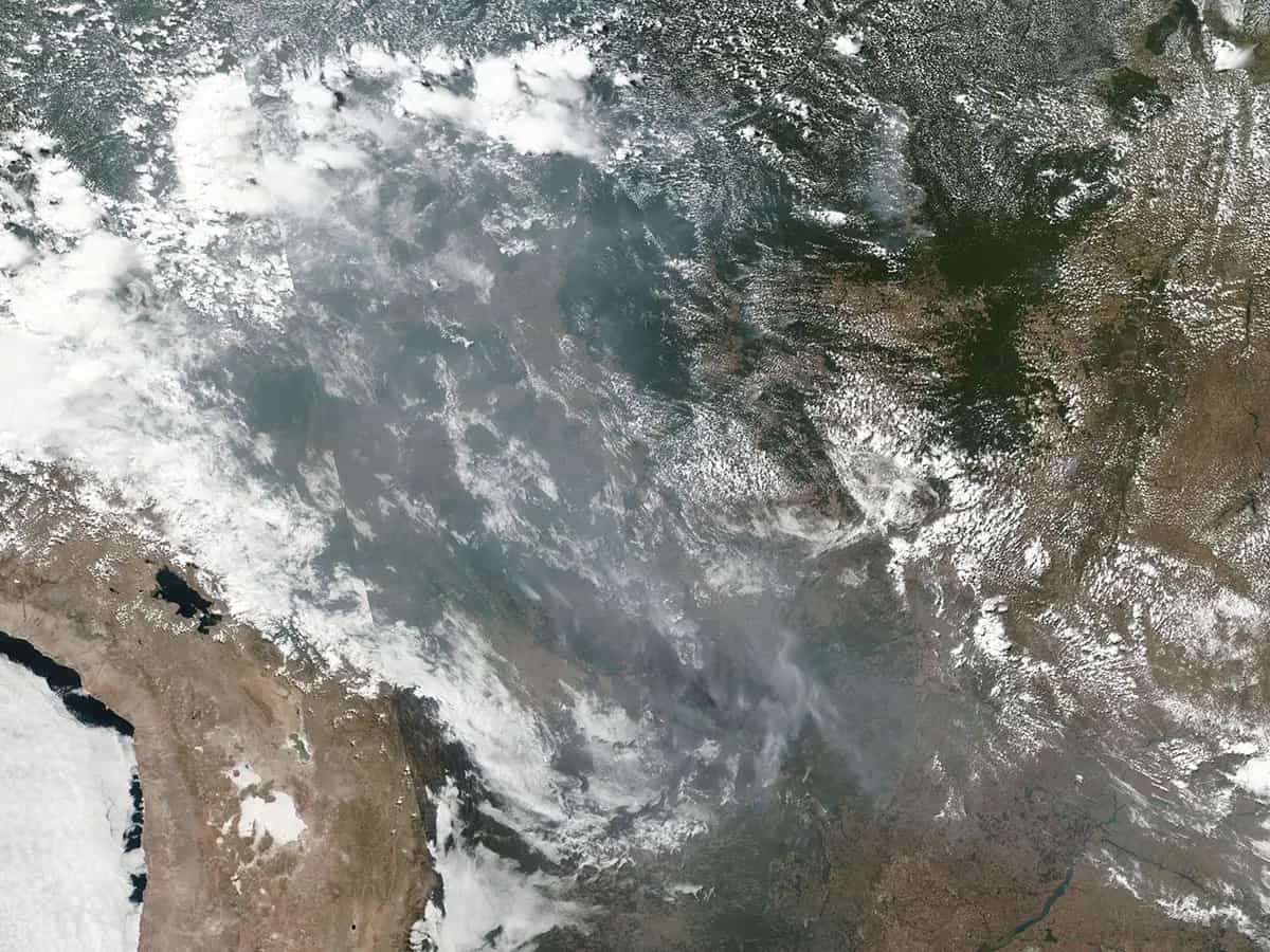 Perché l'amazzonia brucia