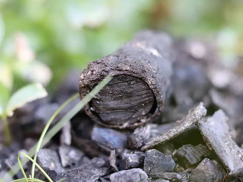 biochar ridurre co2
