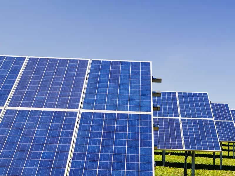 industria alimentare rinnovabili futuro