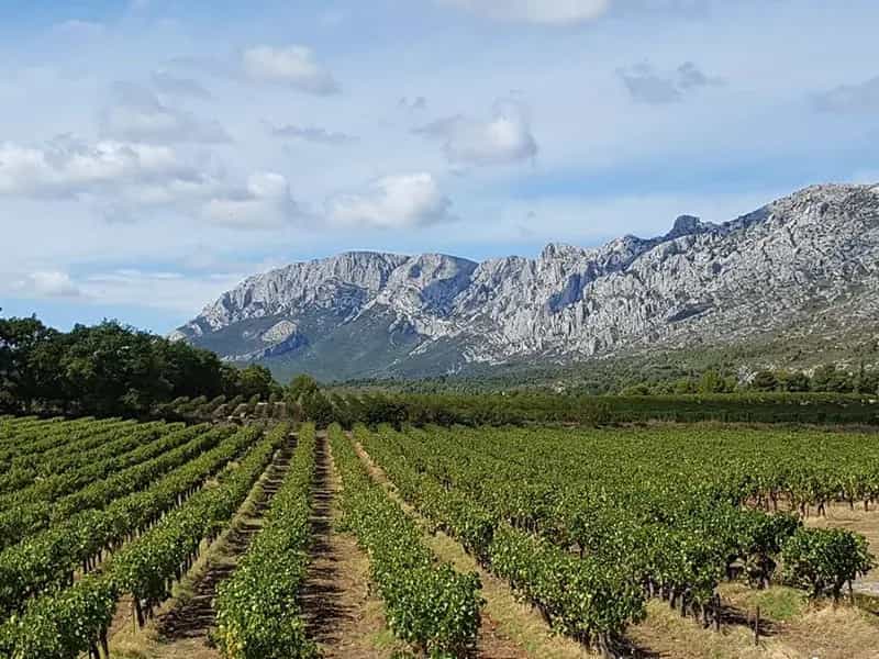 vino biologico francese