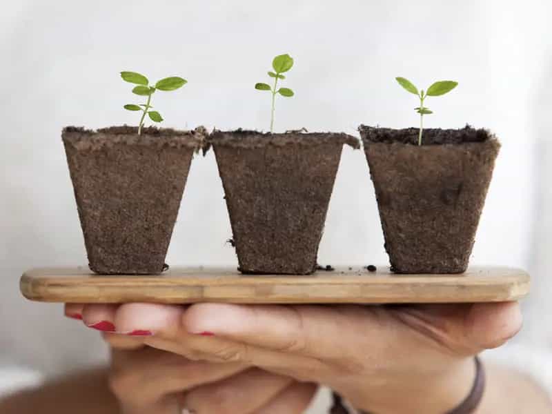 agricoltura biologica varieta bio