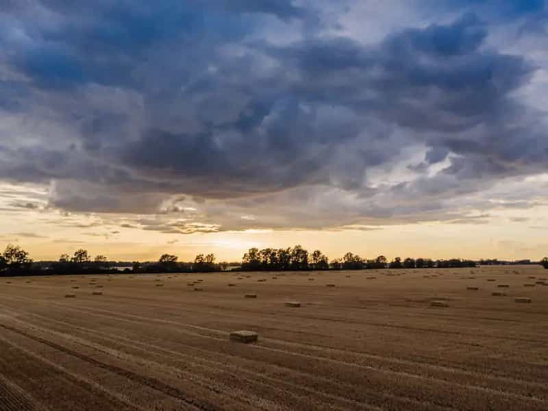biologico cambiamento climatico