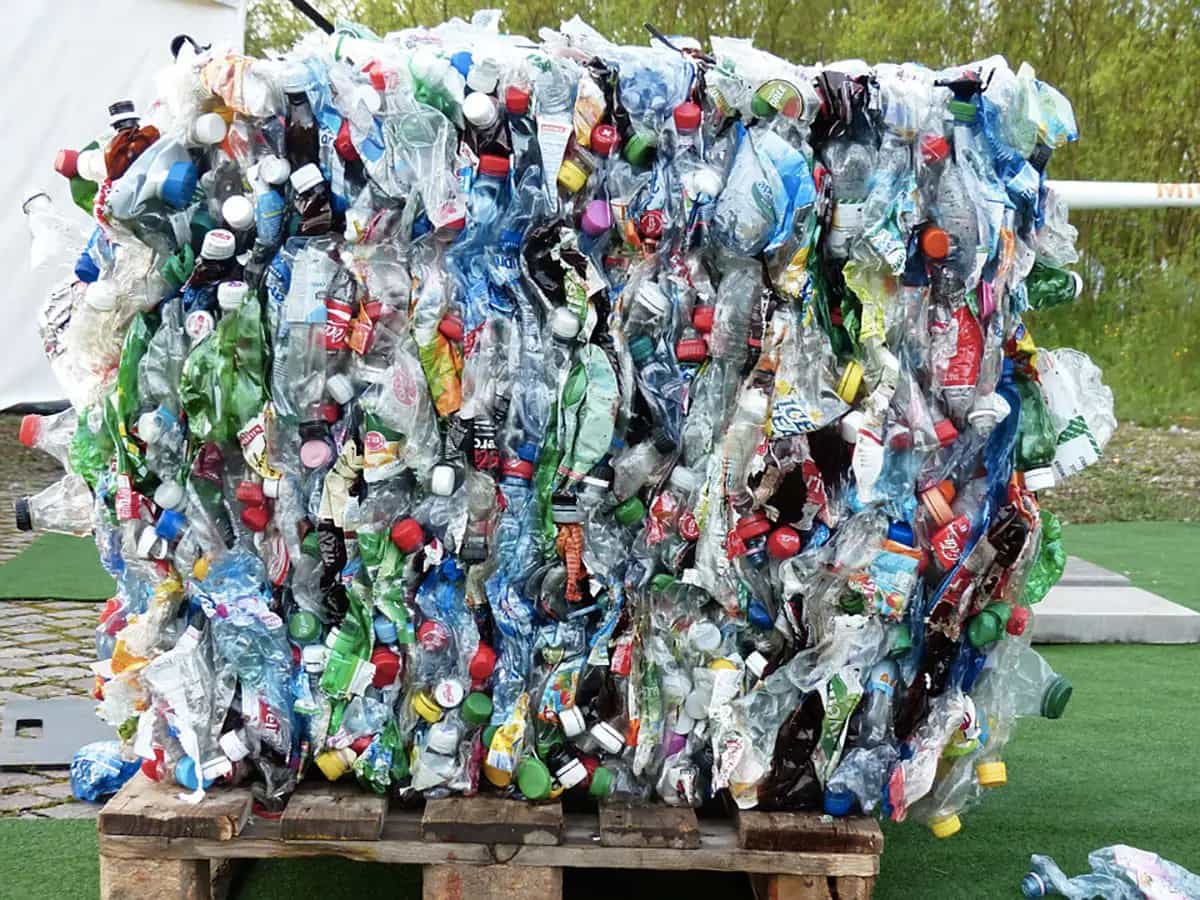 tassa plastica