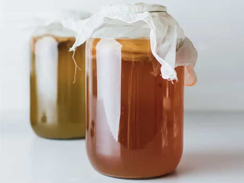 te kombucha