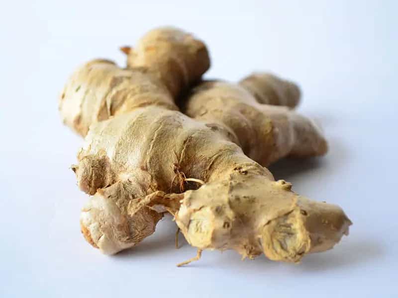 zenzero biologico impatto ambientale