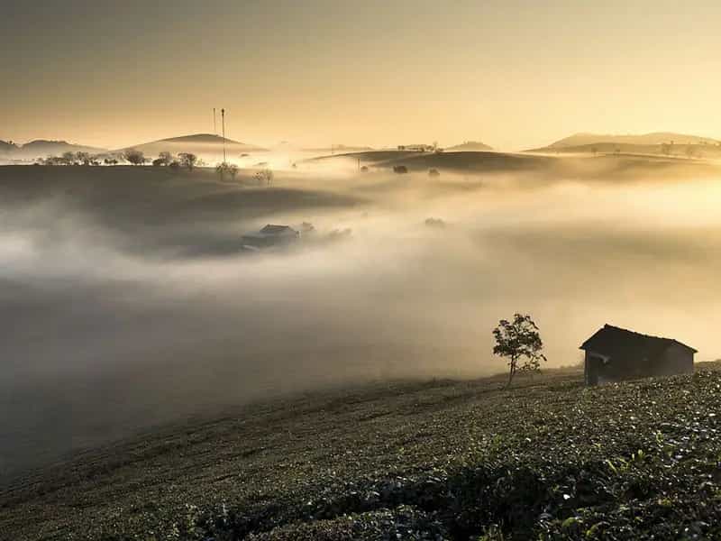 differenza agricoltura biologica-rigenerativa