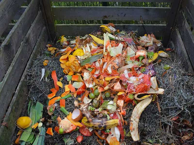 differenza biodegradabile compostabile