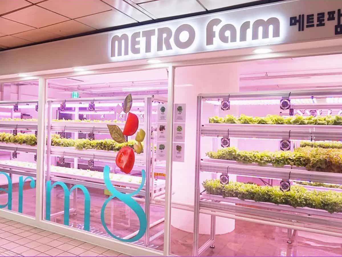fattoria verticale biologica metro