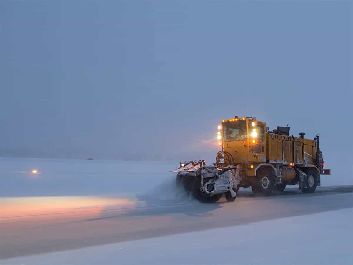 sale neve ecosistema