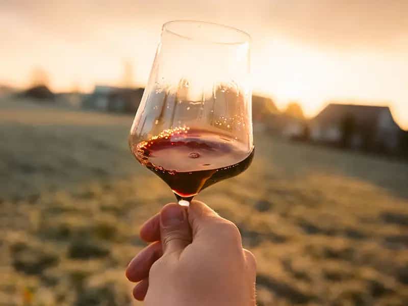 vino biologico locale