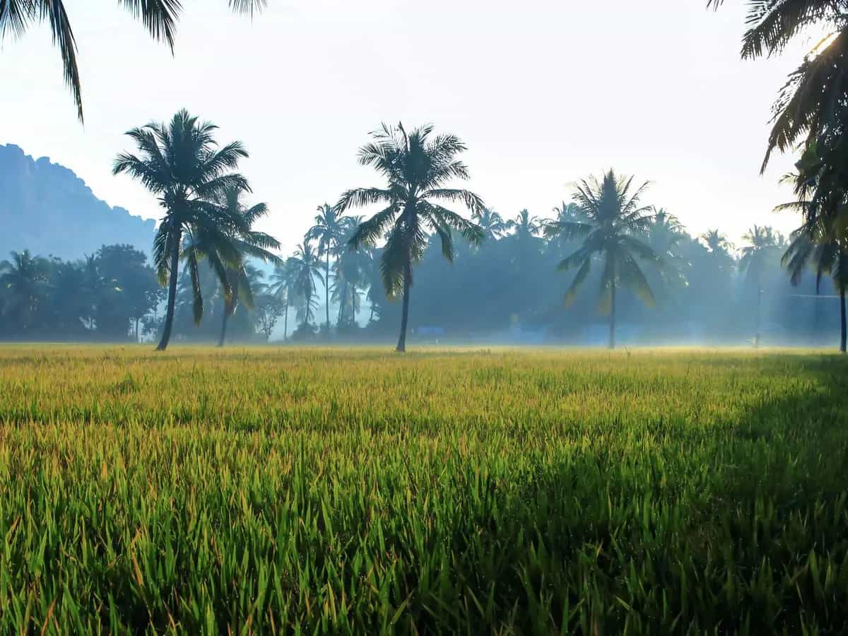 biologico futuro agricoltura