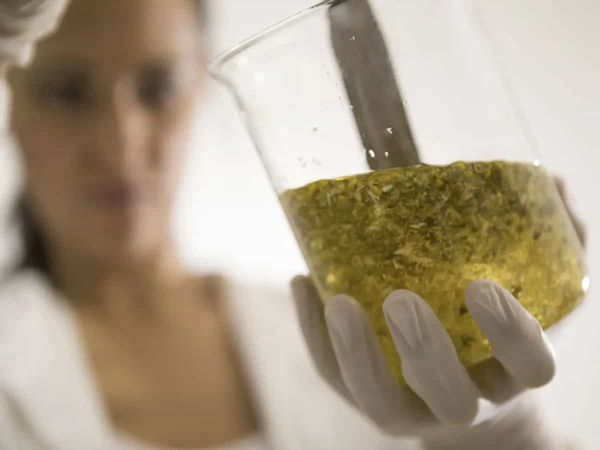 cosmesi biologica naturale green