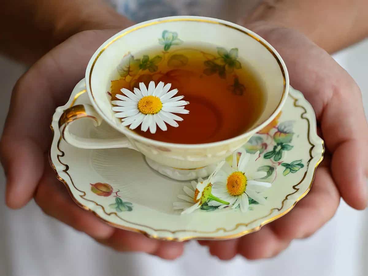 tisane rilassanti