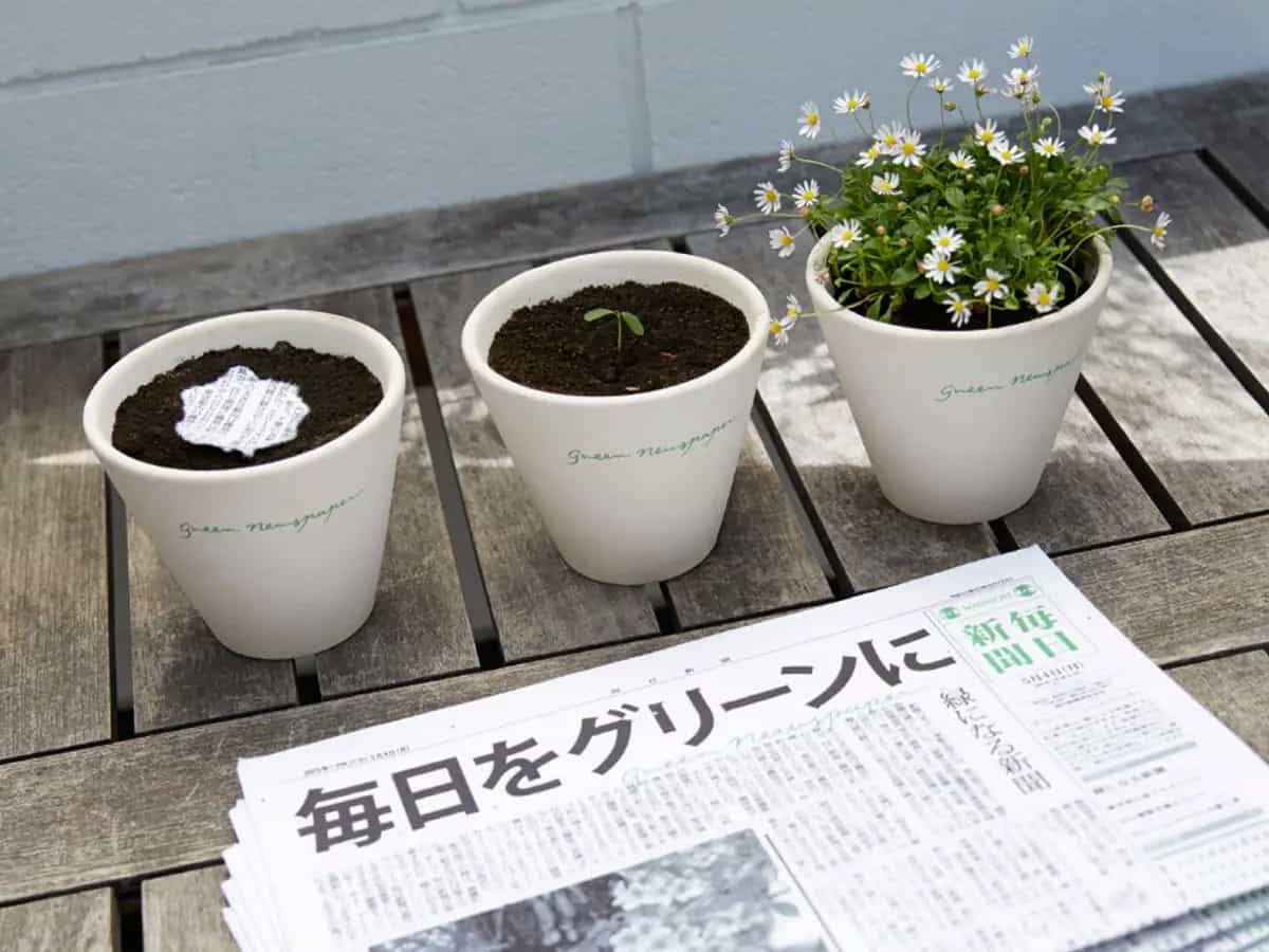 The Green Newspaper