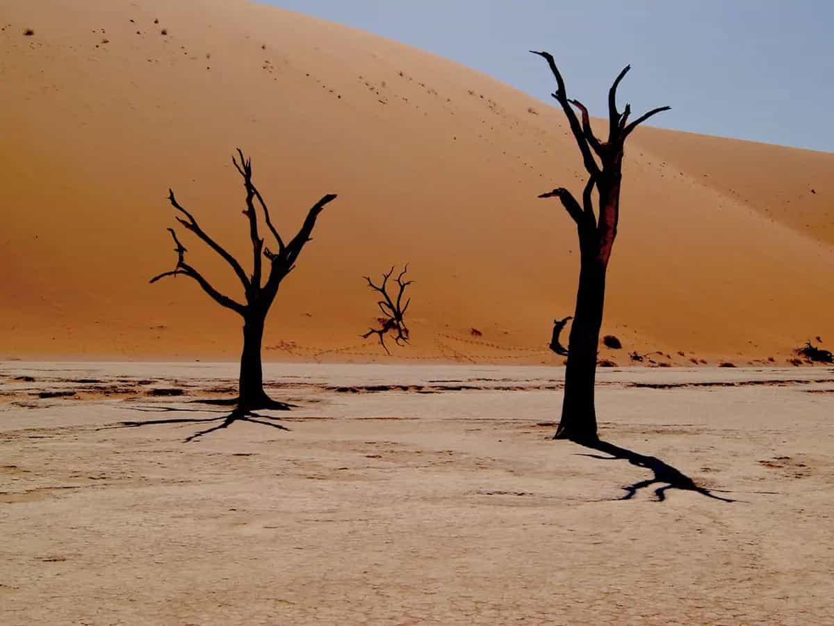 Adelaide, la città sudafricana dove non piove da 5 anni