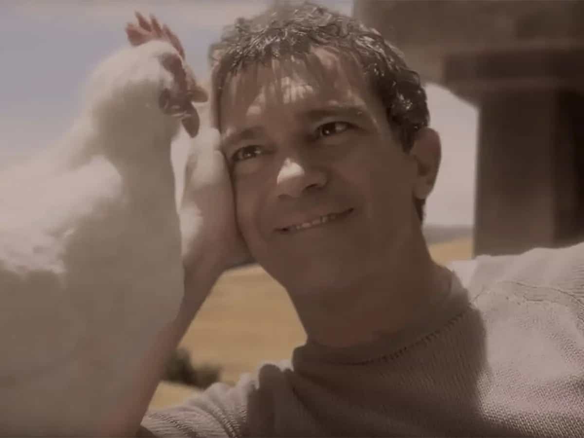 Antonio Banderas: la storia delle pubblicità Mulino Bianco