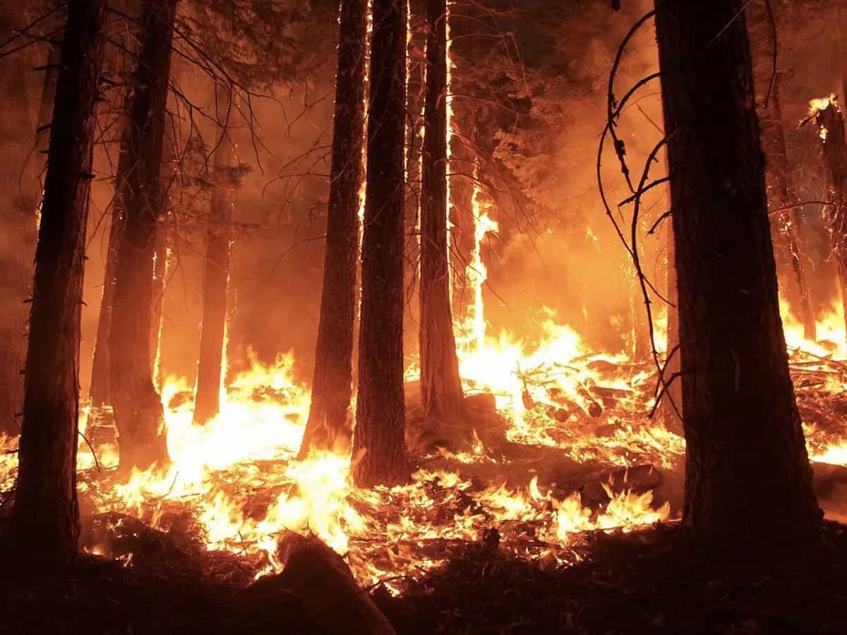 Perché gli incendi in Australia cambiano l'intero clima dell'isola
