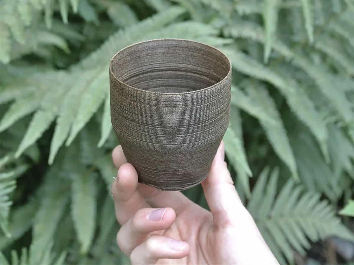 stoviglie compostabili