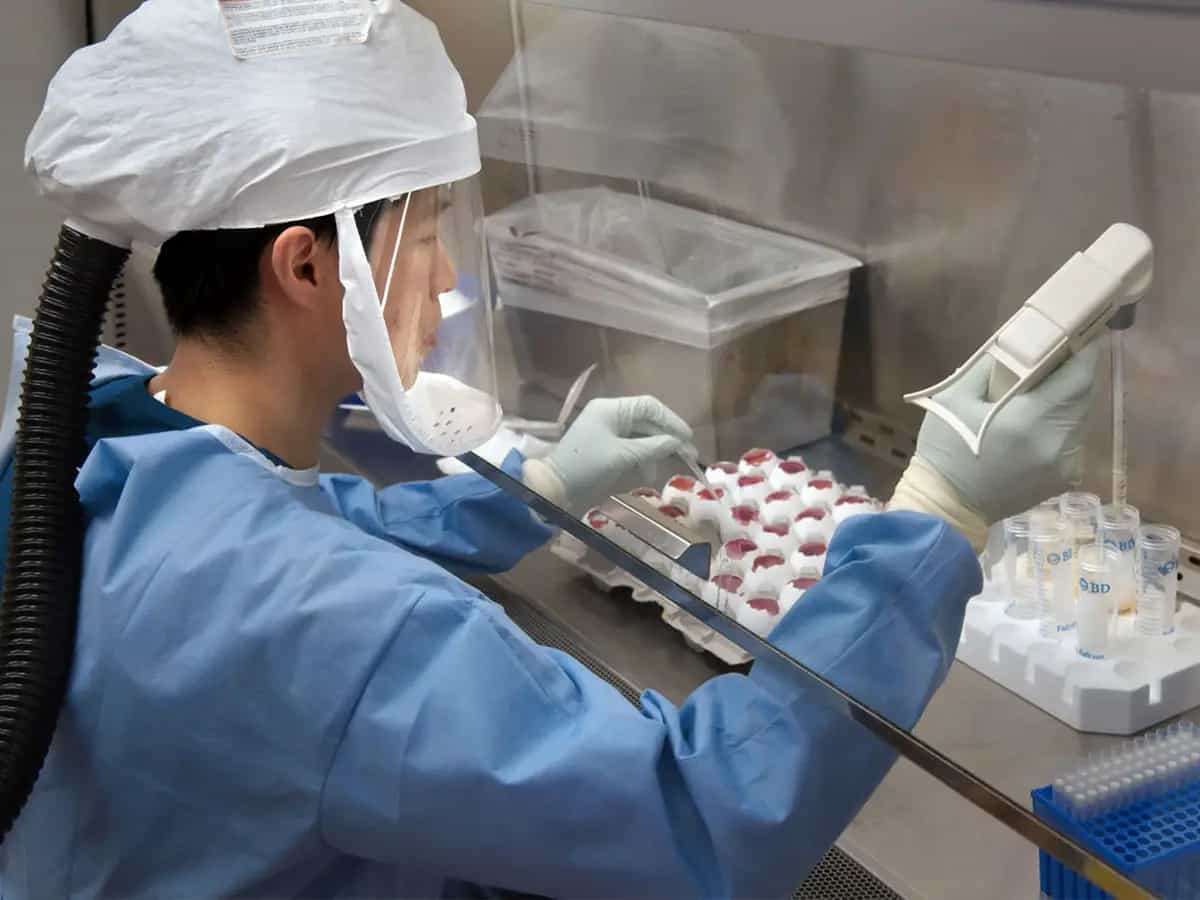 Coronavirus ha ridotto le emissioni di CO2