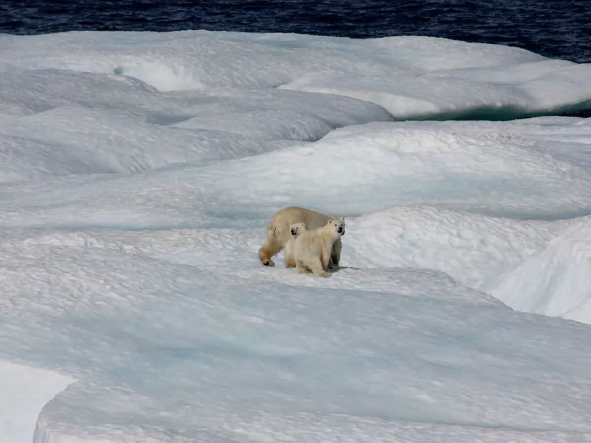 Cambiamento climatico: possiamo essere ottimisti?
