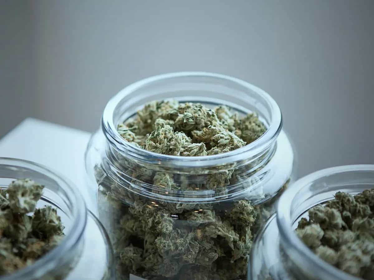 Coronavirus: cannabis industria essenziale negli USA, no alla chiusura