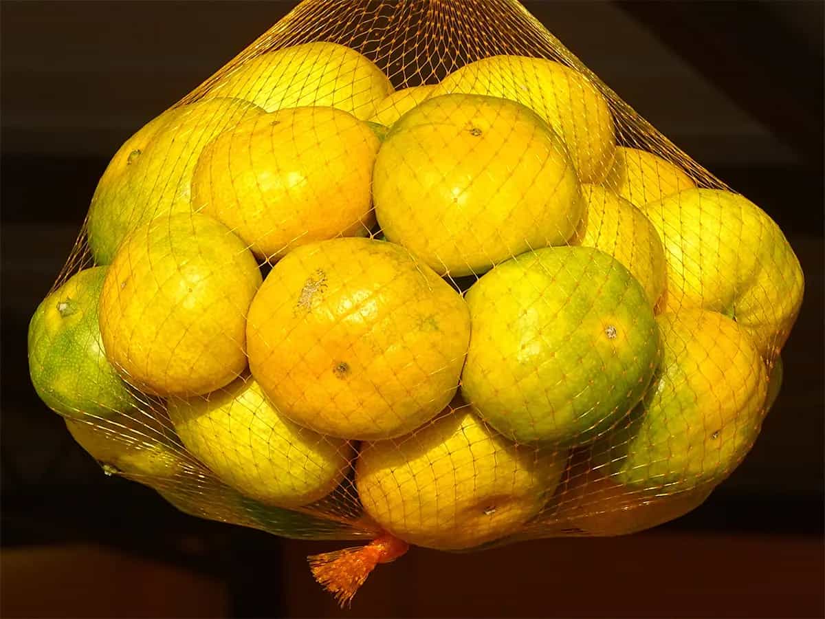 retina della frutta
