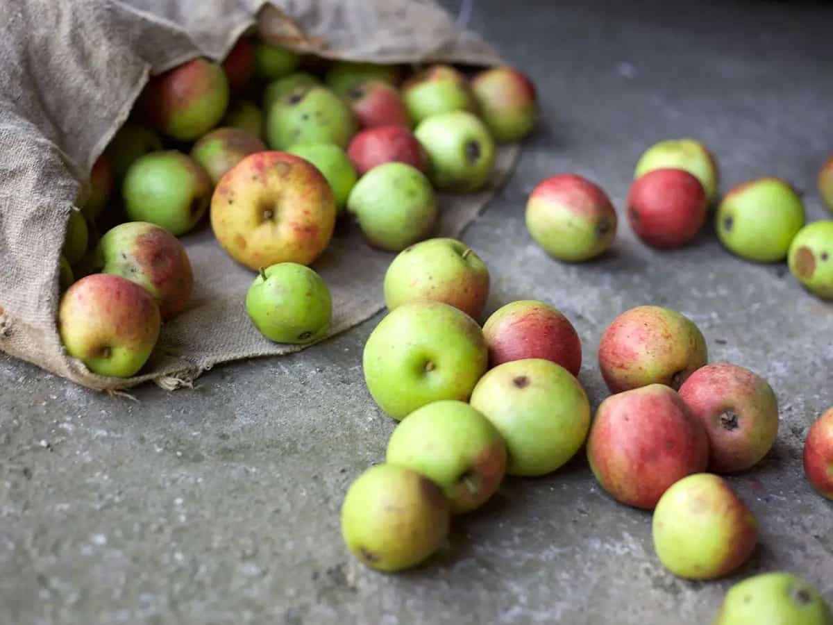 spreco-alimentare-cambiamento-climatico