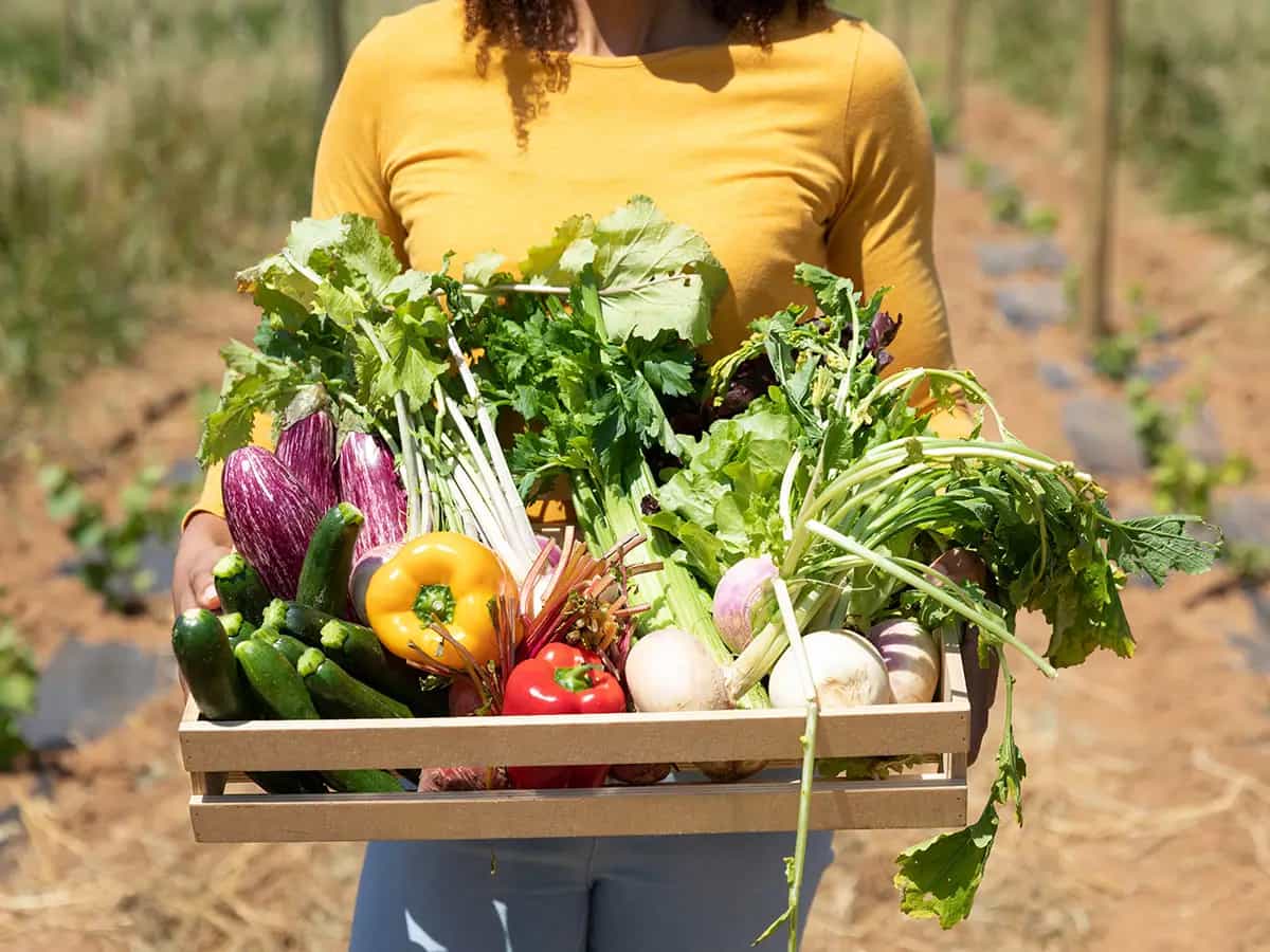 agroecologia