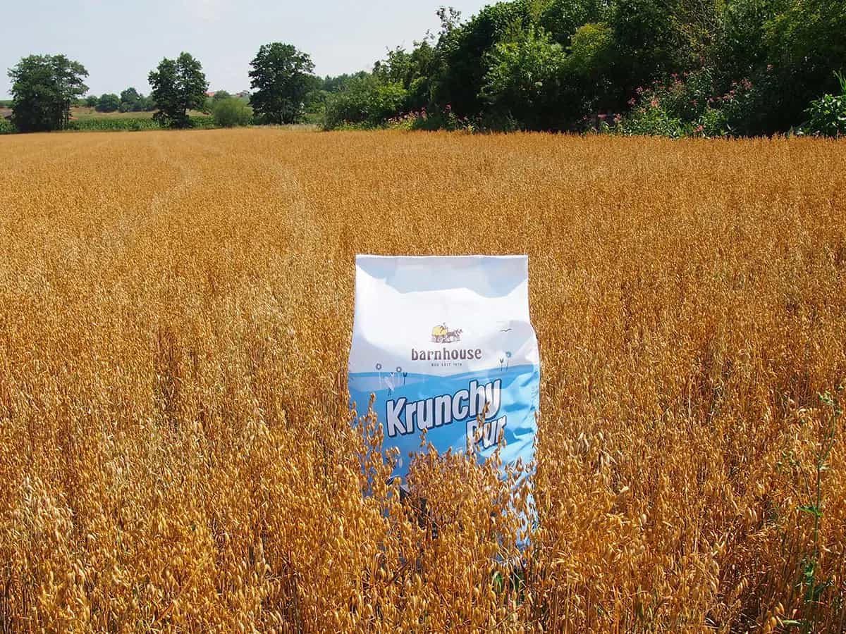 barnhouse sostenibilità avena