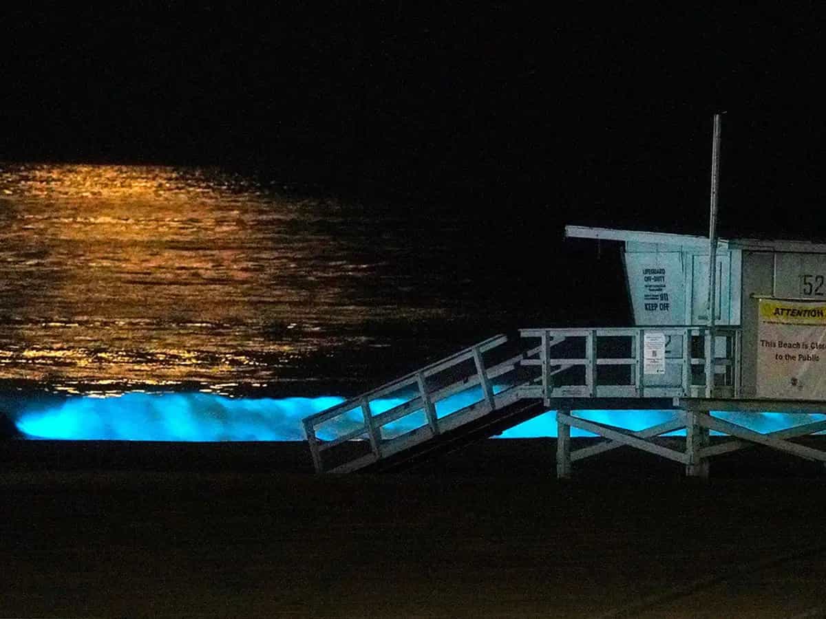 onde oceano bioluminescenti