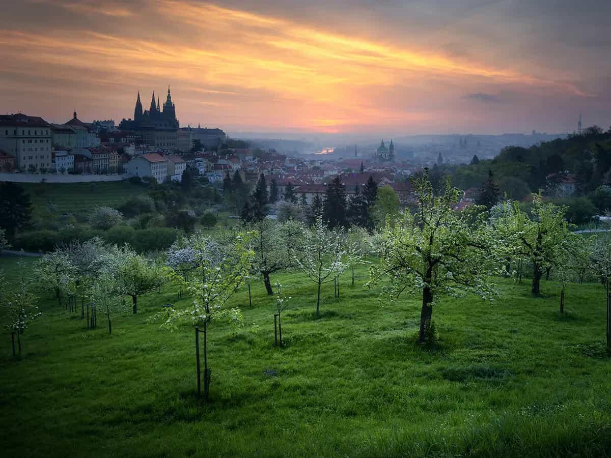 praga biologico