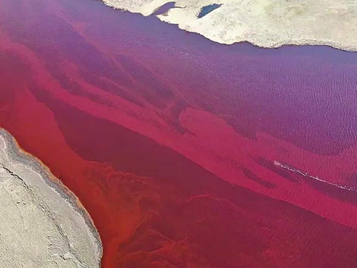 russia gasolio fiumi