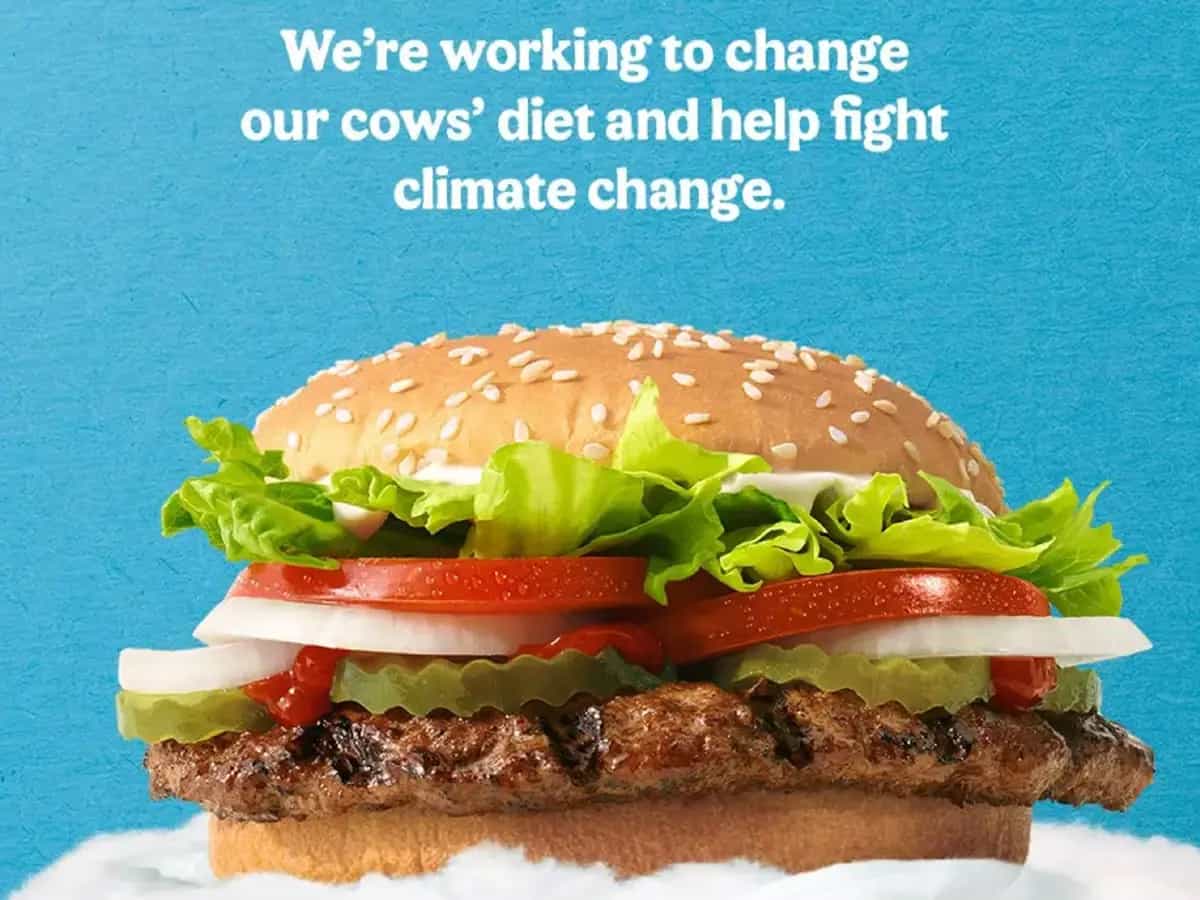 burger king dieta mucche