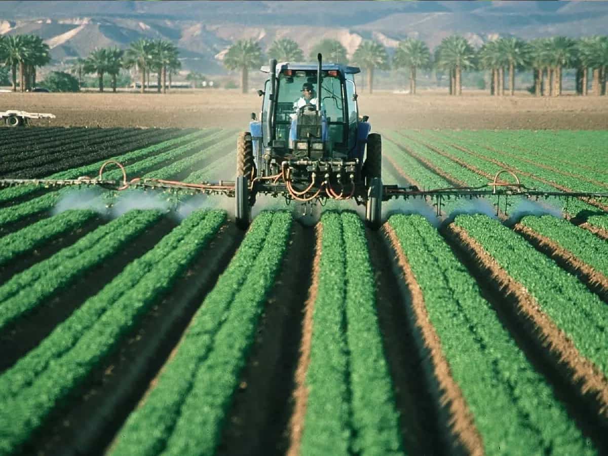 Pesticidi cibo biologico