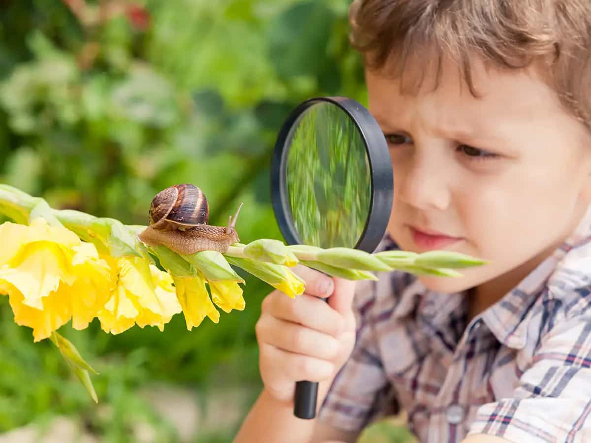 I bambini cresciuti in città verdi sviluppano un quoziente intellettivo più alto