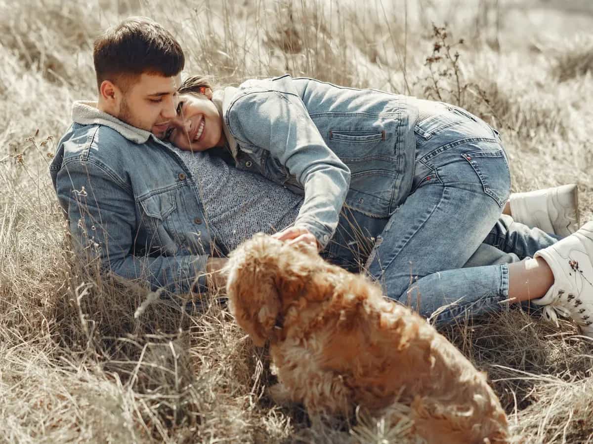 Denim Triarchy