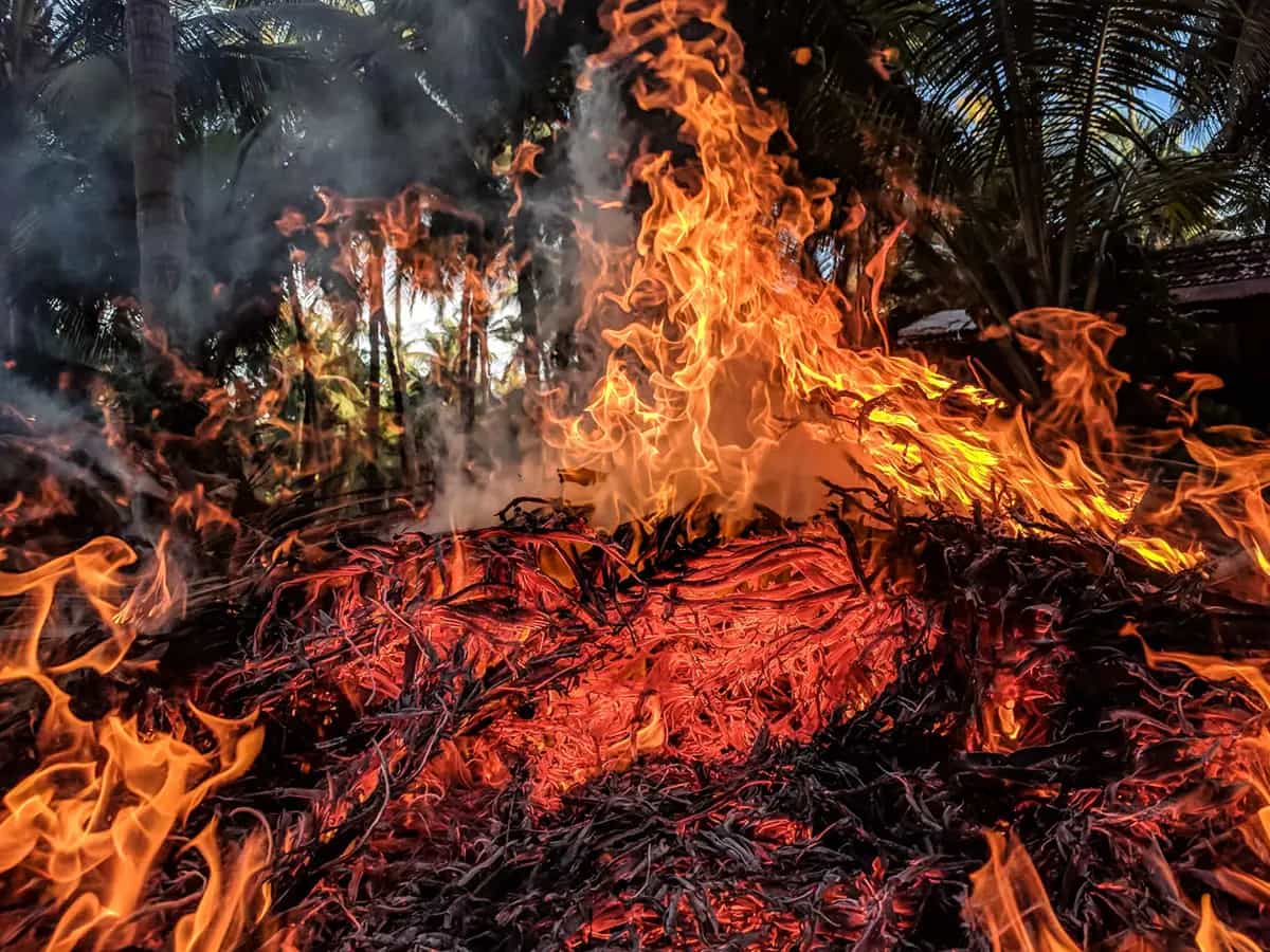 Nuovo sensore antincendio