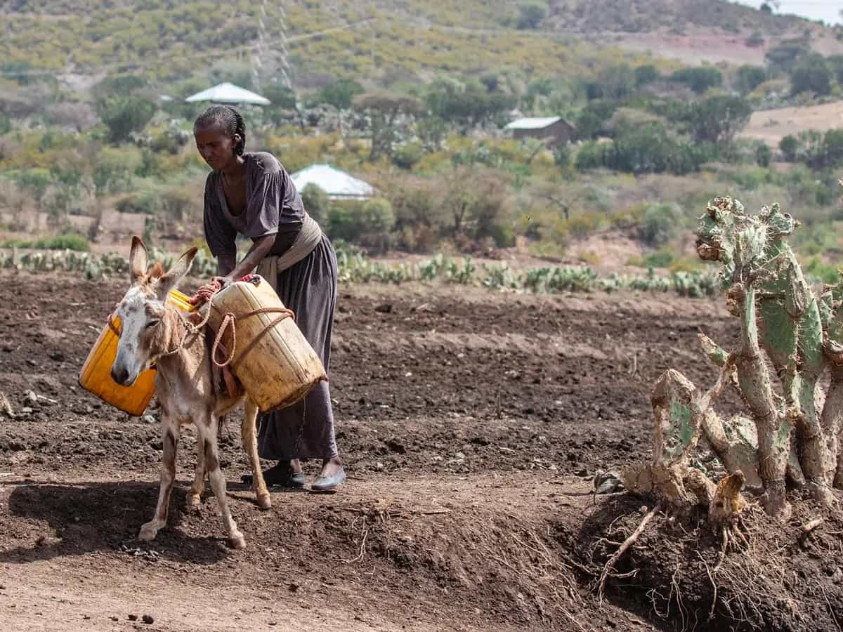Agricoltura cambiamento climatico