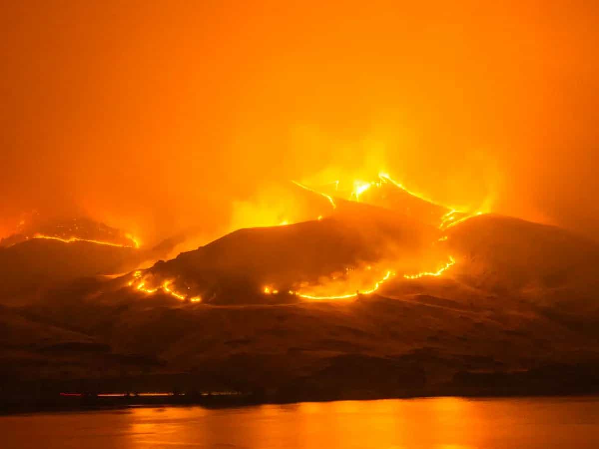 Conseguenze incendi