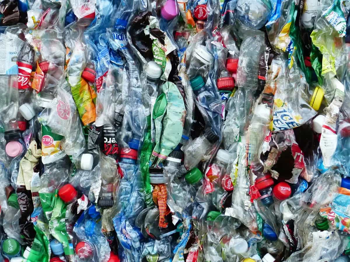 Enzima distruggi plastica