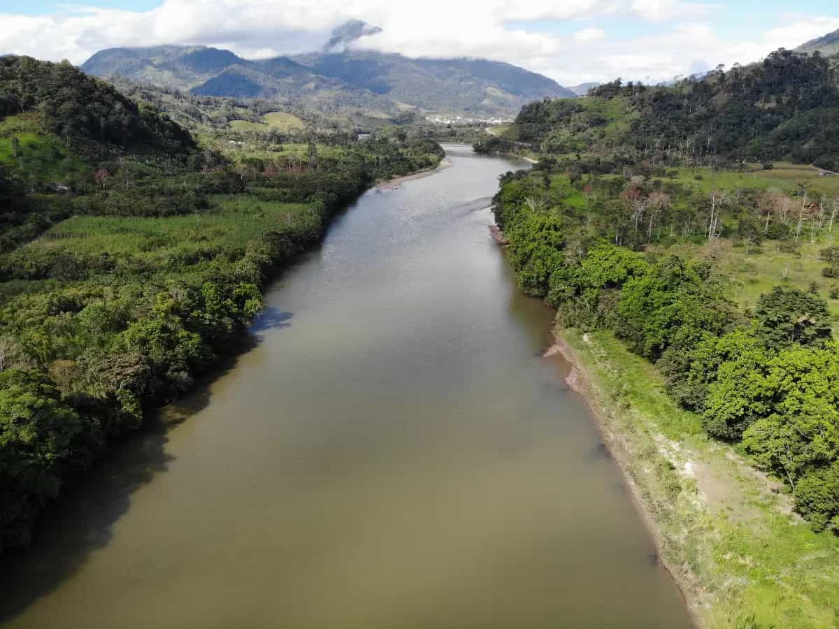 Foresta Amazzonia Savana
